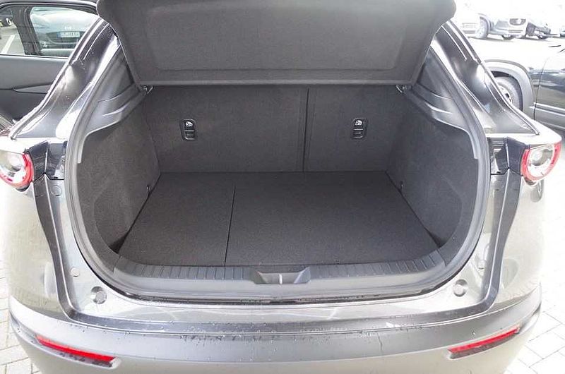 Mazda CX-30 Selection Design-Paket Premium-Paket 18'